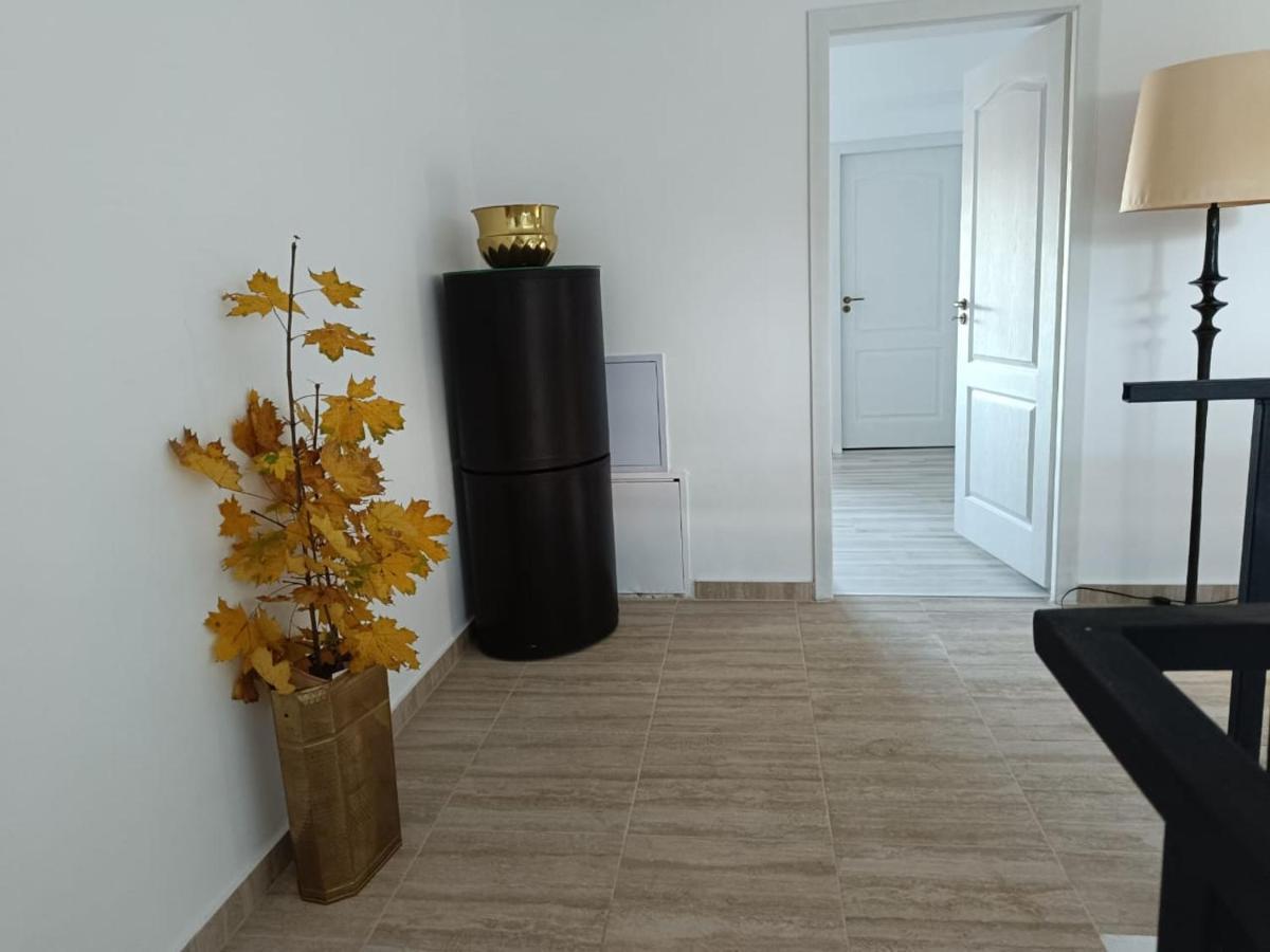 Viv Rosetti Hotel Iasi Ngoại thất bức ảnh